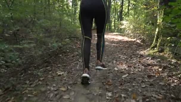 Energética Jogger feminino se exercitando de manhã, correndo ao longo do caminho da floresta — Vídeo de Stock