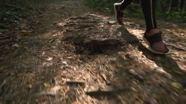 Vista cercana de la chica en zapatillas deportivas corriendo cuesta arriba en el camino del bosque — Vídeo de stock