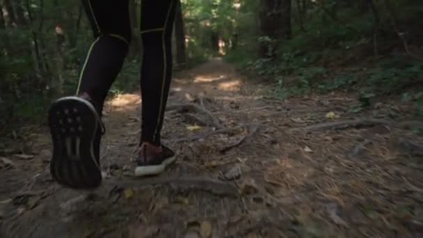Vista próxima de pés de mulher correndo na floresta em terreno duro, usando sapatos esportivos — Vídeo de Stock