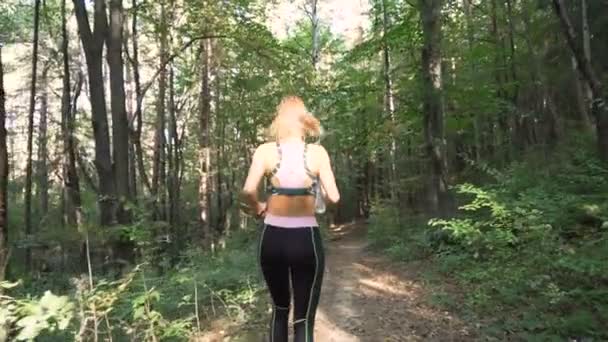 Beautiful, fit girl with ponytail jogging in the forest — Stock Video