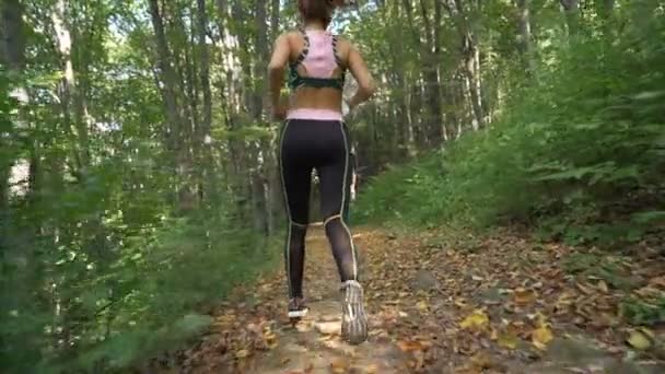 Correr en el bosque. Chica en forma de deporte perfecto que trabaja en el bosque — Vídeo de stock