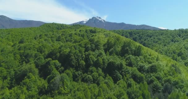 Drone voando acima da bela floresta verde fresca na parte inferior da cordilheira — Vídeo de Stock