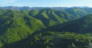 Güzel yeşil tepelerin ve baharda dağın tepelerinin havadan görünüşü