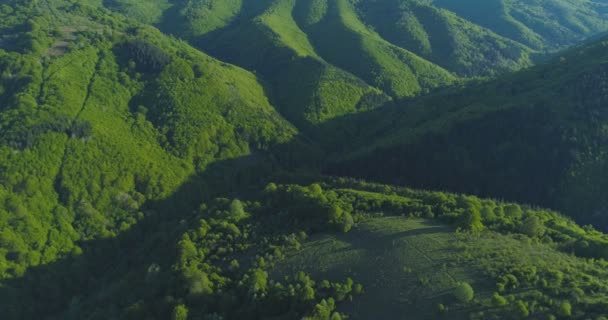 Vista aerea di dolci colline verdi con fitti boschi e pascoli freschi nella giornata di sole — Video Stock