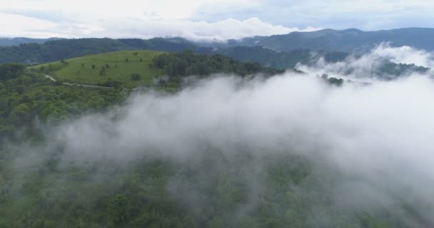 Vista aérea de densa niebla blanca que cubre verdes colinas y cimas de montañas — Vídeos de Stock