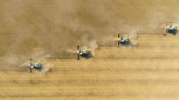 Pohled shora dolů na sklízecí stroje pracující na pšeničném poli. Kombinovat zemědělské stroje sklizeň zlaté zralý pšenice pole. — Stock video