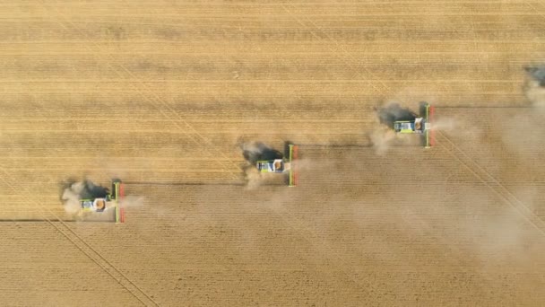 Top view of combine harvesters working in perfect formation — Stock Video