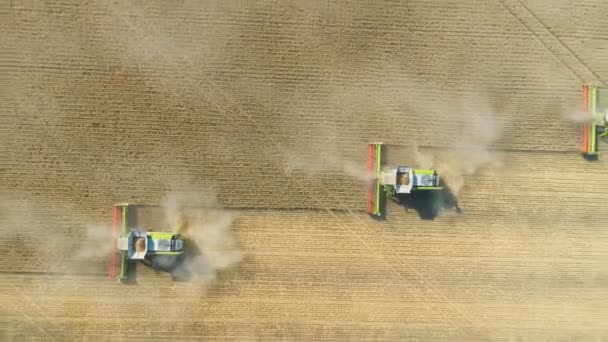 Kilátás a búzamezőn dolgozó aratógép tetejére. Kombinálja a mezőgazdasági gépek aratás arany érett búzamező. — Stock videók
