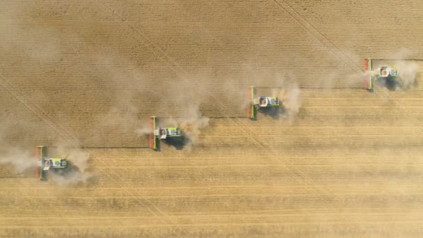 Landbouwgebied van bovenaf bekeken door een drone. Landbouwoogst Bulgarije — Stockvideo