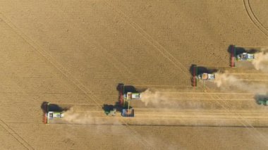 Buğday hasadını tarlada hasat eden hasatçıyı birleştirin. Yukarıdan hava aracı görünümü