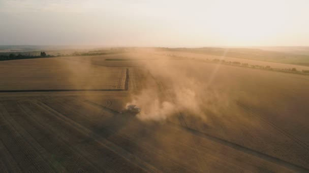 Pleven, Bulgarien - 04 07 2020: Claas Erntemaschine bei der Arbeit auf einem riesigen, endlosen Weizenfeld bei Sonnenuntergang mit Staubwolken — Stockvideo