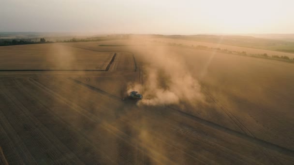 Pleven, Bulgaria- 04 07 2020: Claas Combine cosechadora cosechadora de trigo y remolinos de polvo — Vídeo de stock