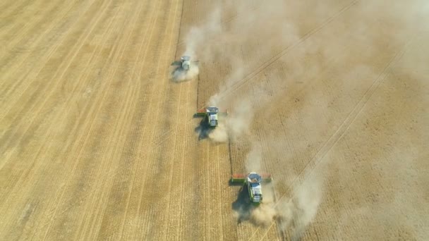Pleven, Bulharia- 04 07 2020: Letecký pohled na Claas kombinovat sklízeče v akci na obrovské pšeničné pole — Stock video