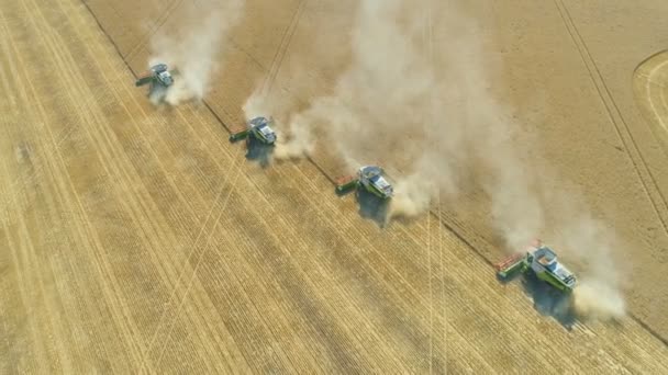 Pleven, Bulharia- 04 07 2020: Ohromující záběry Claas Lexion kombinuje sklizeň pšeničného pole — Stock video
