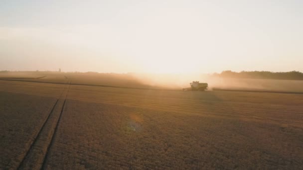 Pleven, Bulgaria- 04 07 2020: Claas Lexion Combine cosechadora y tractores John Deere recoge la cosecha de trigo al atardecer — Vídeos de Stock