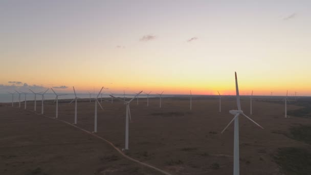 Flygfoto över stora fält med vindkraftverk roterande och alstrande energi — Stockvideo