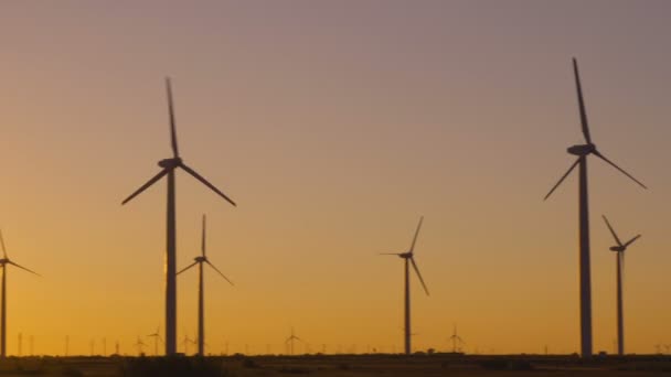 Groene ecologische energieopwekking door windturbines in het veld bij zonsondergang in Bulgarije — Stockvideo