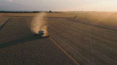 Pleven, Bulgarya- 04 07 2020: Claas günbatımında buğday tarlasını birleştirerek arkasında büyük bir toz bulutu bıraktı