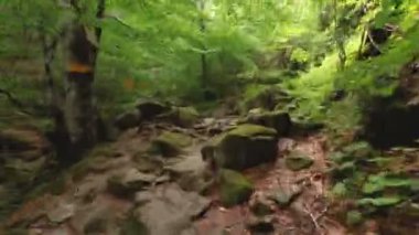 POV Hiperlapse Kayalık orman yolu veya dağ yolu konsepti üzerinde yürüyüş
