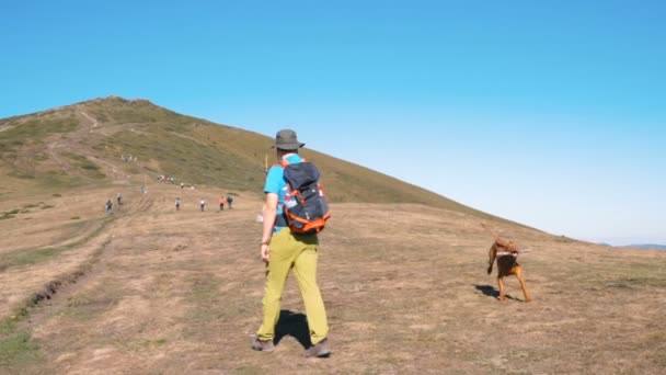 Caminhante viagem e seu cão Vizsla caminhadas para o topo de uma montanha — Vídeo de Stock