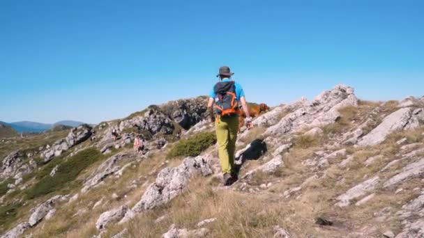 Jovem caminhando montanha com seu cão no dia ensolarado de verão — Vídeo de Stock