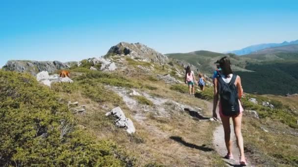 Grupa młodych turystów spacerujących po skalistym szlaku górskim w upalny letni dzień — Wideo stockowe