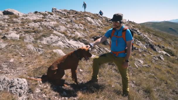 Joven mochilero tomando un descanso en la cima de la montaña, acariciando su perro vizsla húngaro — Vídeos de Stock