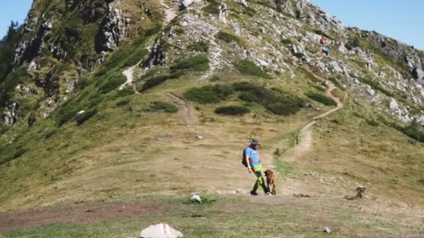 Homem mochileiro caminhando nas montanhas com o cão húngaro Vizsla e brincando com ele — Vídeo de Stock