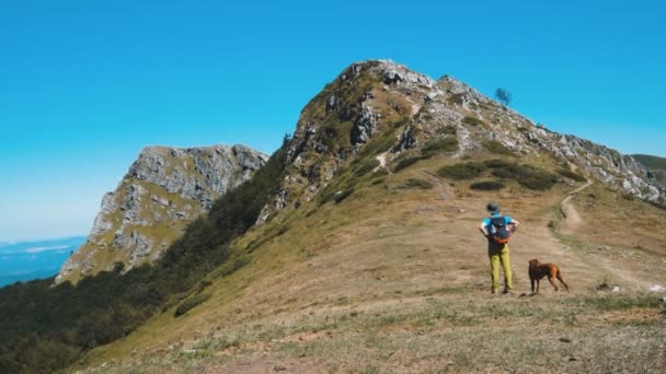 Молодой турист и его собака отправляются в поход в горы в солнечный день — стоковое видео