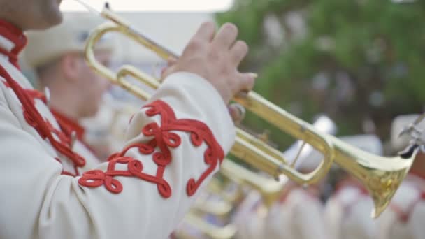 Saxofon zblízka bulharské stráže mosazný pás v tradičním oblečení — Stock video