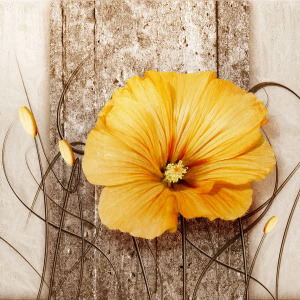 PICTURE FOR PRINTING ORANGE FLOWER