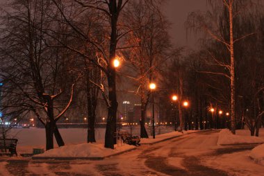 Fener ve şehir parkı tezgah ile sokakta gece kış manzarası