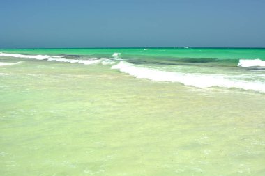 Tropikal kumlu plaj. tatil arka plan