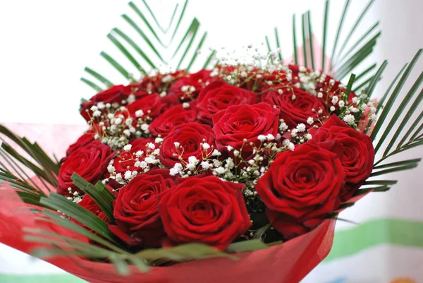 Bouquet of red roses on white background