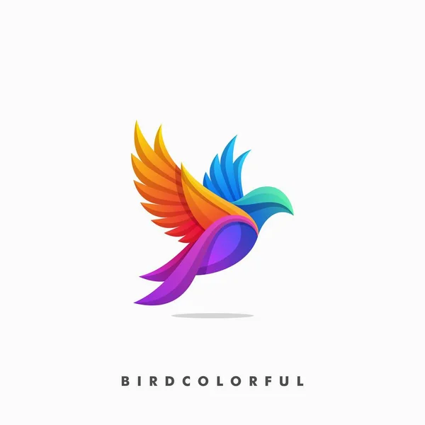 Bird Colorful Concept illustration vector Design template