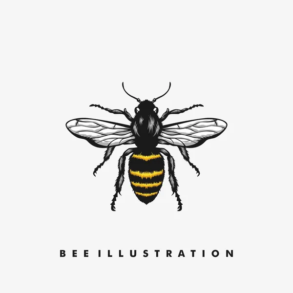 Modèle de conception vectoriel illustration abeille — Image vectorielle