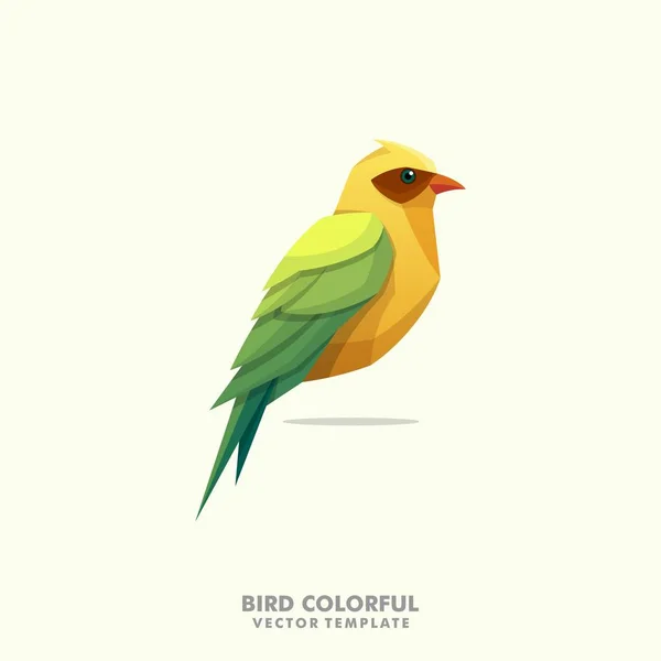 Bird Colorful illustration vector Design template