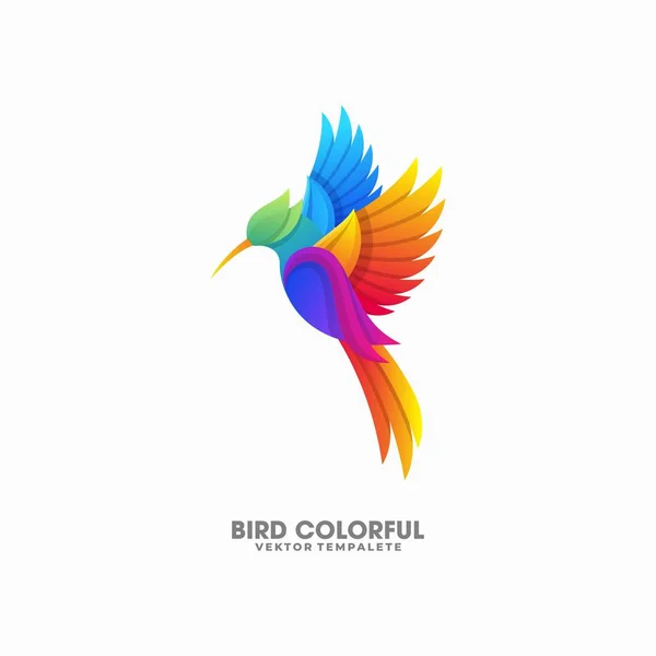 Plantilla de vectores de ilustración de diseños coloridos pájaro — Vector de stock