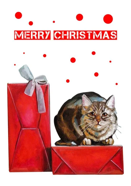 Kedi hediyelerle kutuya oturur.