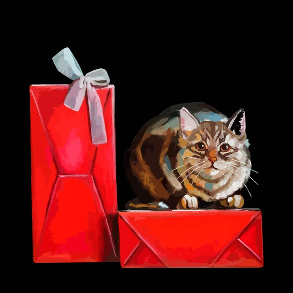 Kedi hediyelerle kutuya oturur.