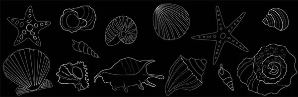 Белый контур морской звезды и ракушек на черном фоне — стоковый вектор