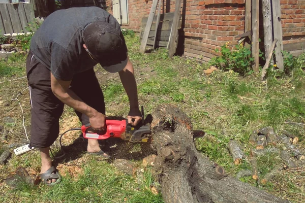 Bir adam bahçede elektrikli testere ile bir ağaç testere olduğunu