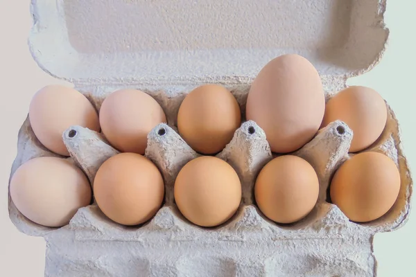 Kilkanaście jaj w tekturowym podajniku jedno bardzo duże jajko — Zdjęcie stockowe