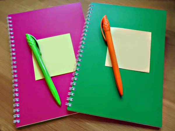 iki defter bir masa nın üzerinde ve her birinde bir kalem