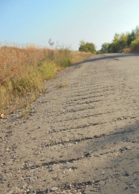 Eski asfalt yol çimen yaprakları ve kuru otlarla kaplıydı. seçici odak