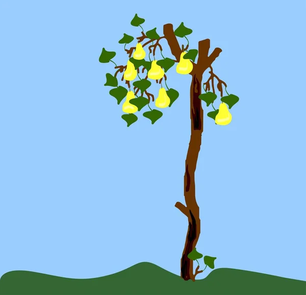 古い洋ナシと白い樹皮と小さな枝に緑の葉と黄色の梨 子供の絵の模倣 — ストックベクタ
