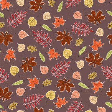 Kusursuz desenli sonbahar yaprakları meşe, akçaağaç, huş, kavak, ıhlamur, at kestanesi ve koyu pembe arka planda beyaz çizgili rowan.