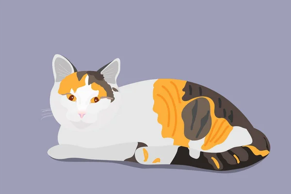 Üç renkli beyaz bir kedi. Kırmızı, kahverengi benekli ve kırmızı gözlü.