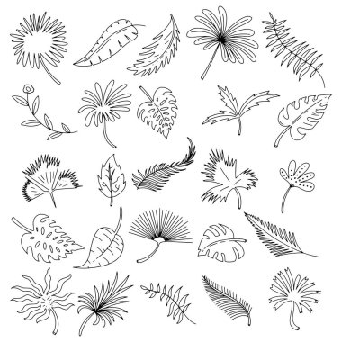 El çizilmiş çiçek botanik bitki Doodle vektör elemanları. Vahşi ve özgür. Davetiyeler, tebrik kartları, Quotes, Bloglar, düğün çerçeveleri, poster için idealdir. İzole-vektör EPS 