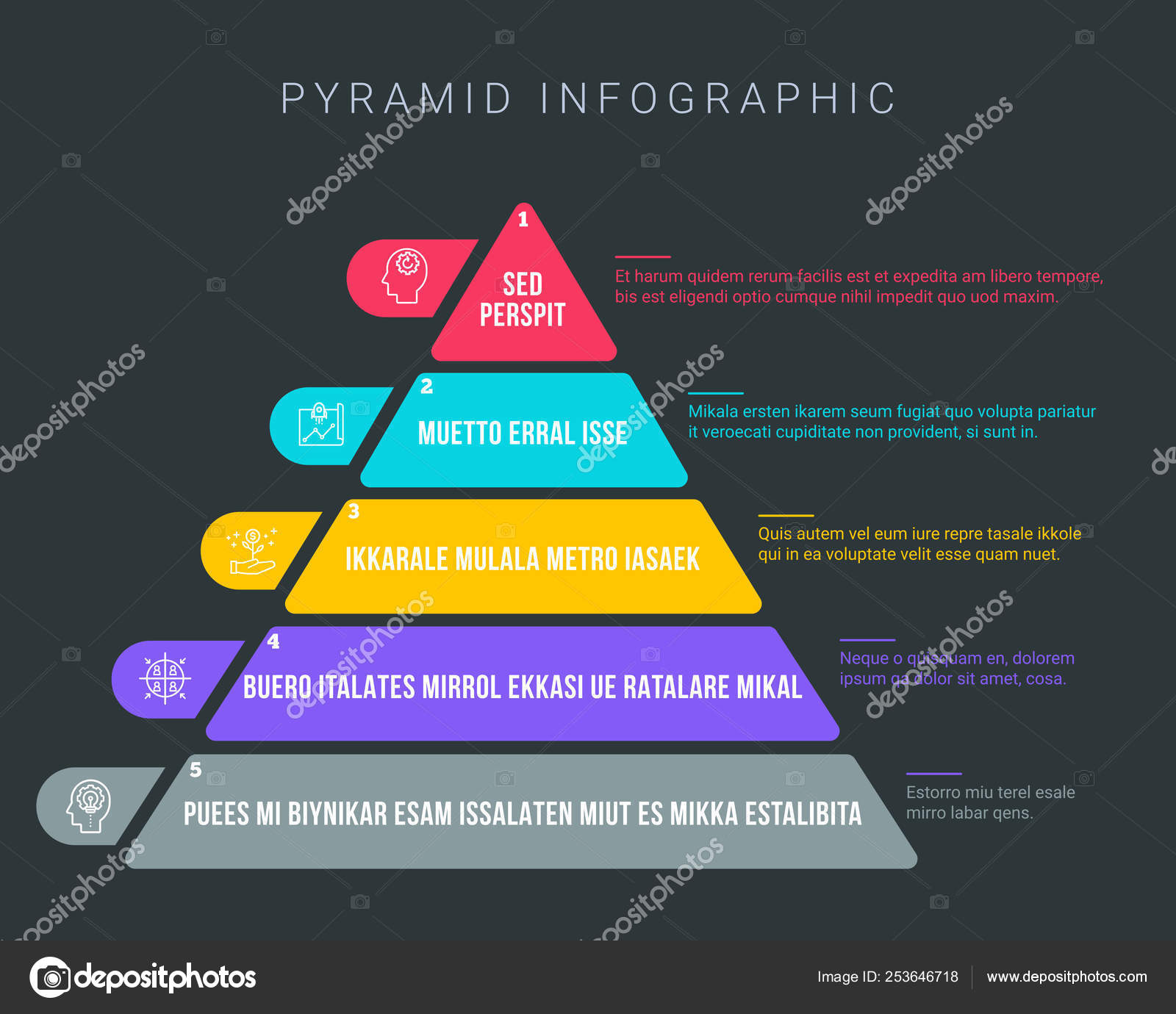 Infographic Elements Steps Description Next Stock Vector Image by ...